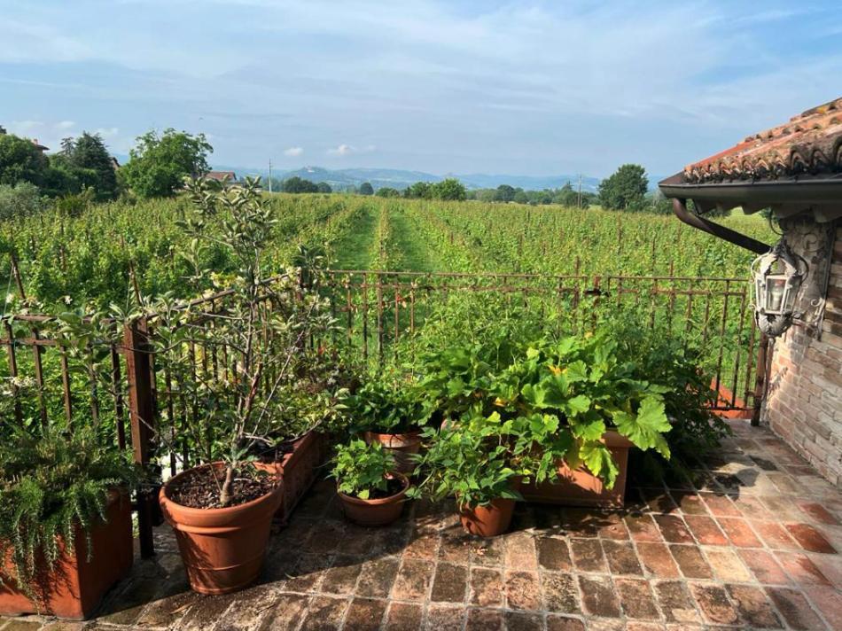 Casale Hortensia Reggio Emilia Exteriör bild